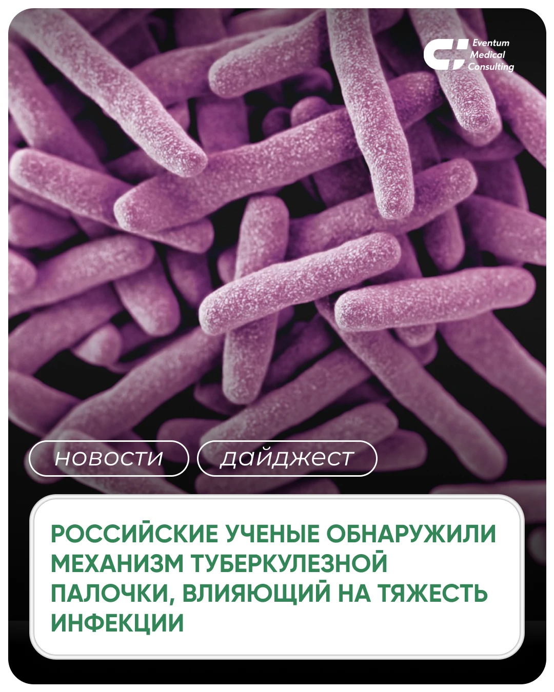 #новости #дайджест