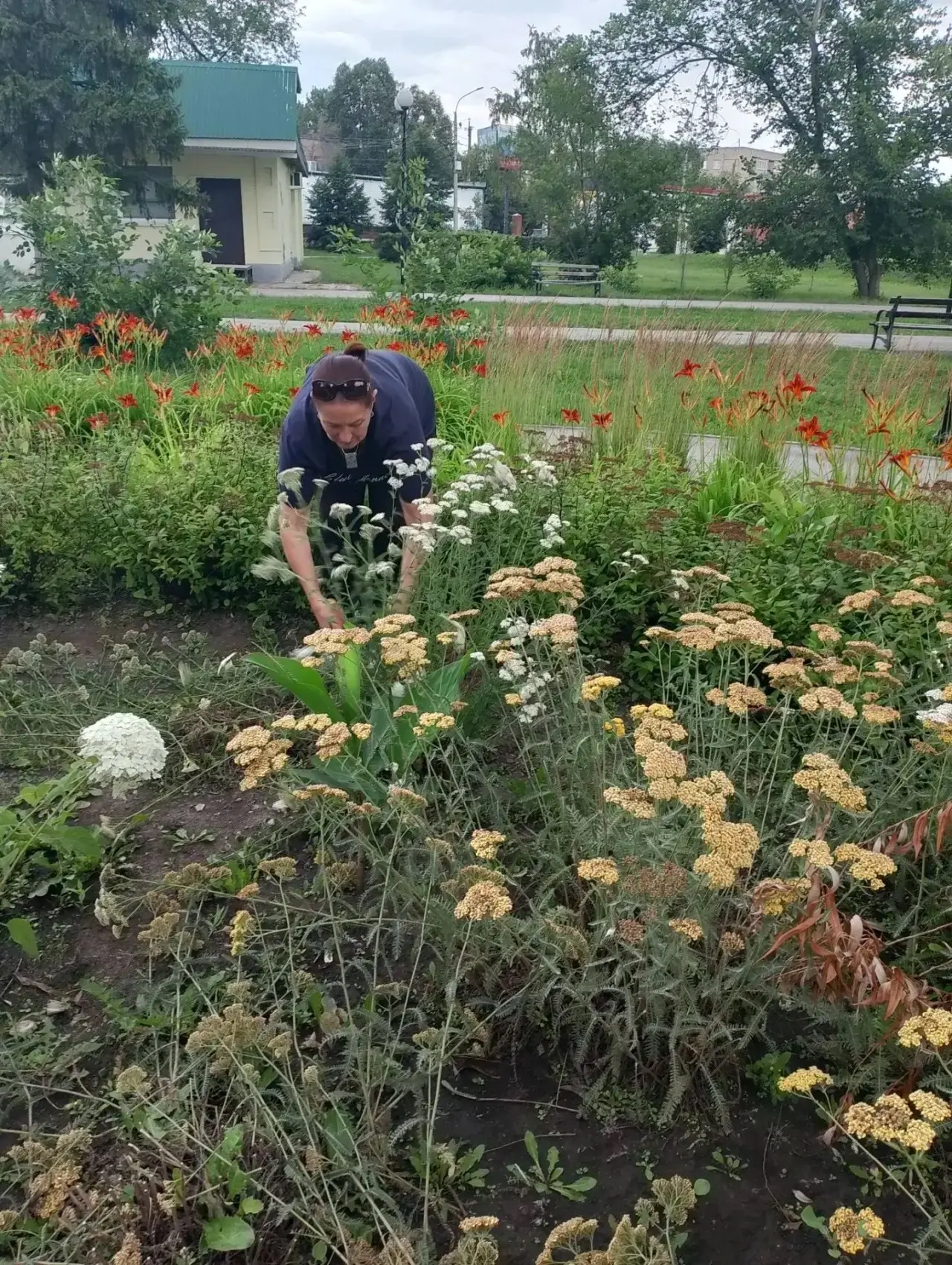 🌺 Служба благоустройства и содержания продолжает заботиться о чистоте, красоте и свеже...