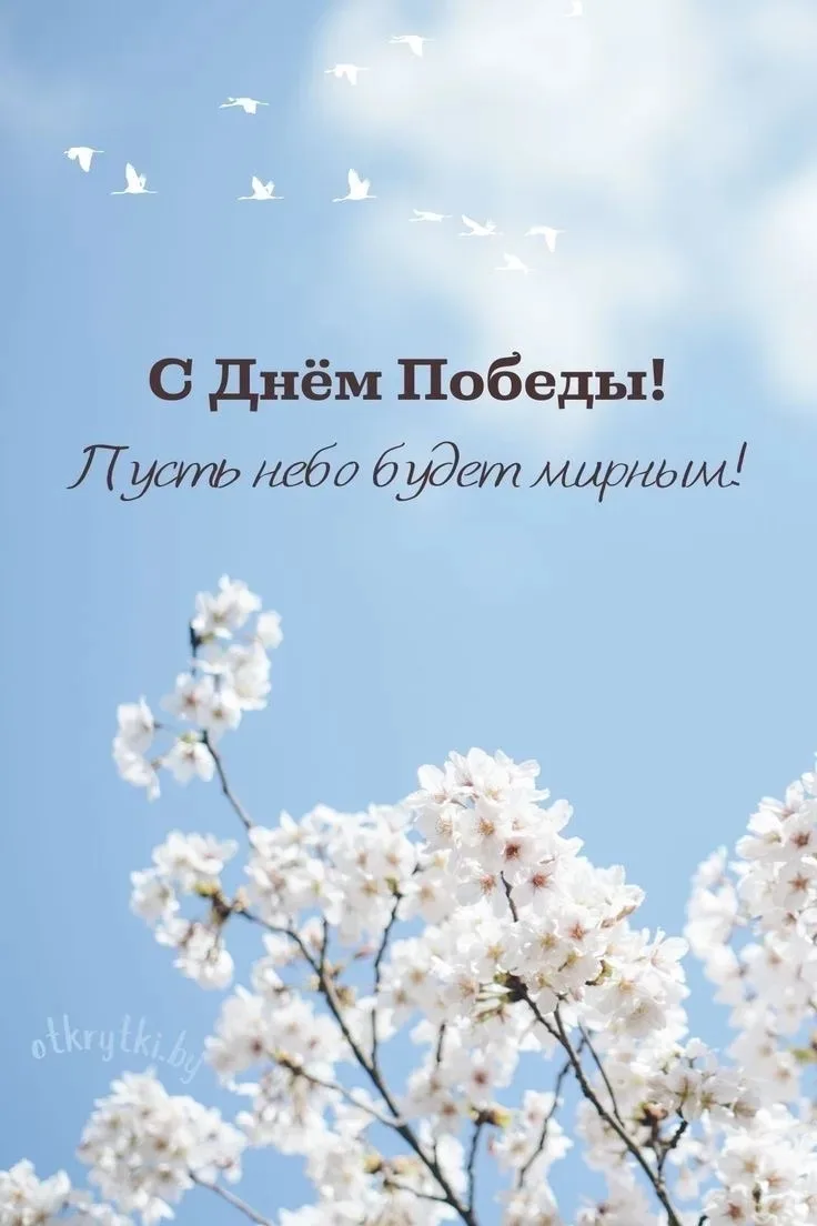 С Днём Великой Победы! 🇷🇺