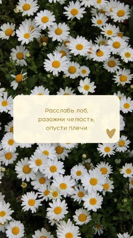 🌹Открытки для любимых