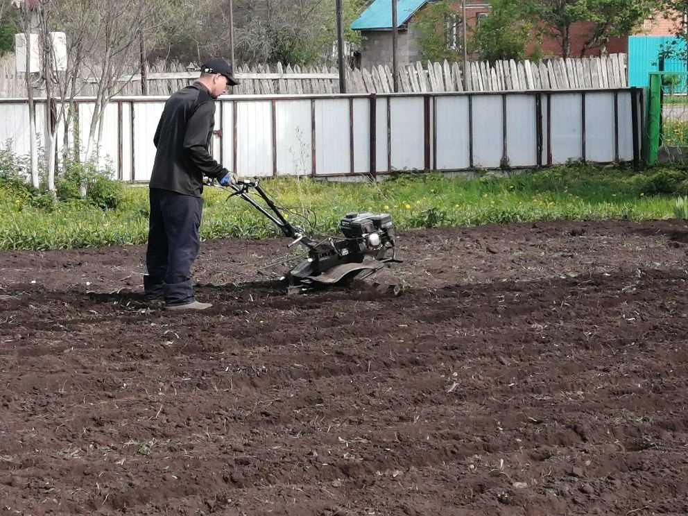 Начинаем работу в огороде, на участке нашего детского сада.