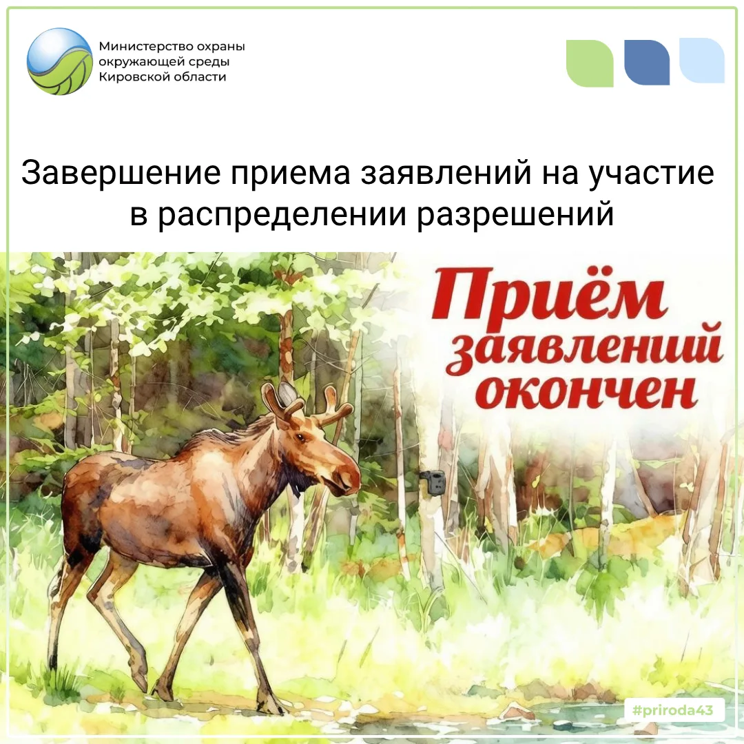 30 июня завершился прием заявлений на участие в распределении разрешений на добычу лося...