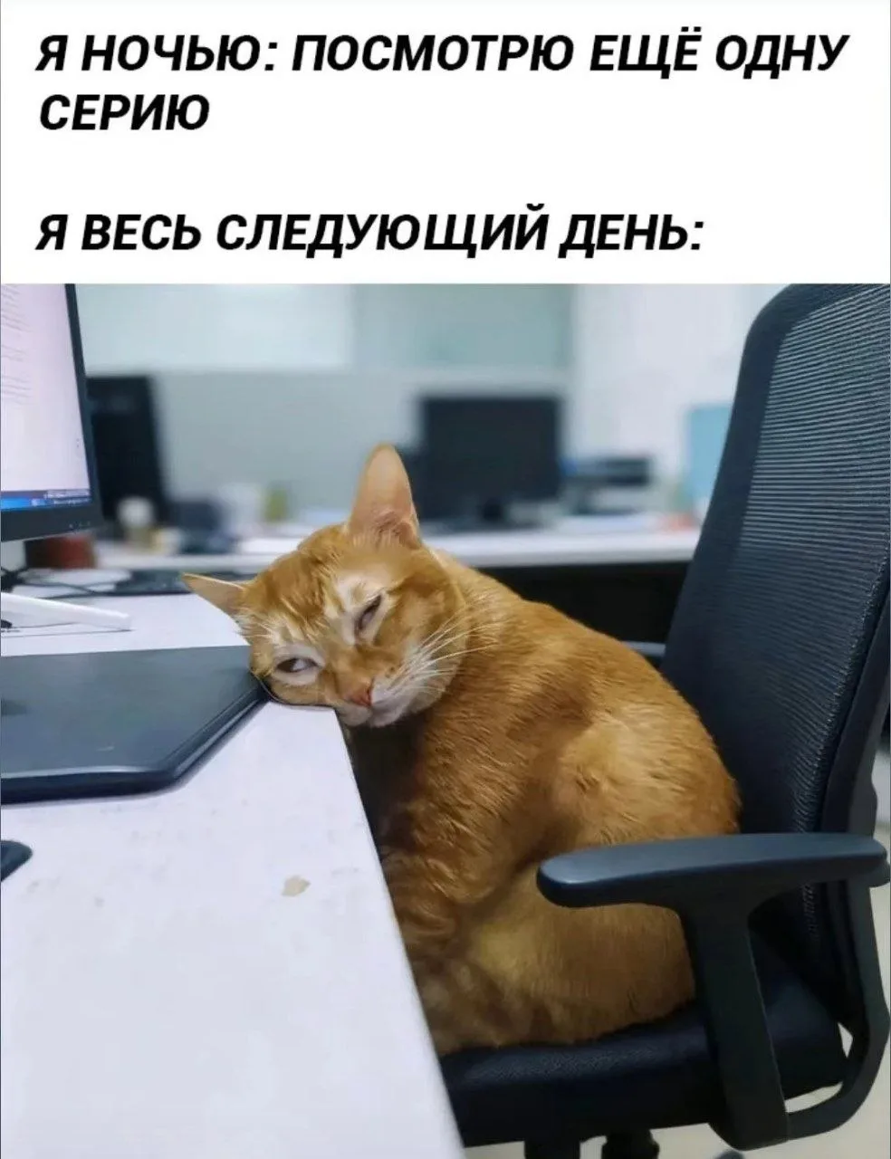 Говорят утро доброе
