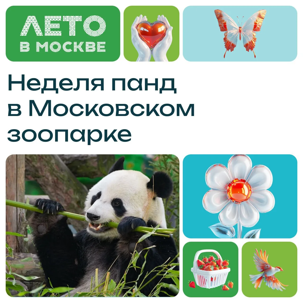 Панды Диндин и Жуи приглашают в гости!  В Московском зоопарке пройдет фестиваль «Неделя панд». Это о