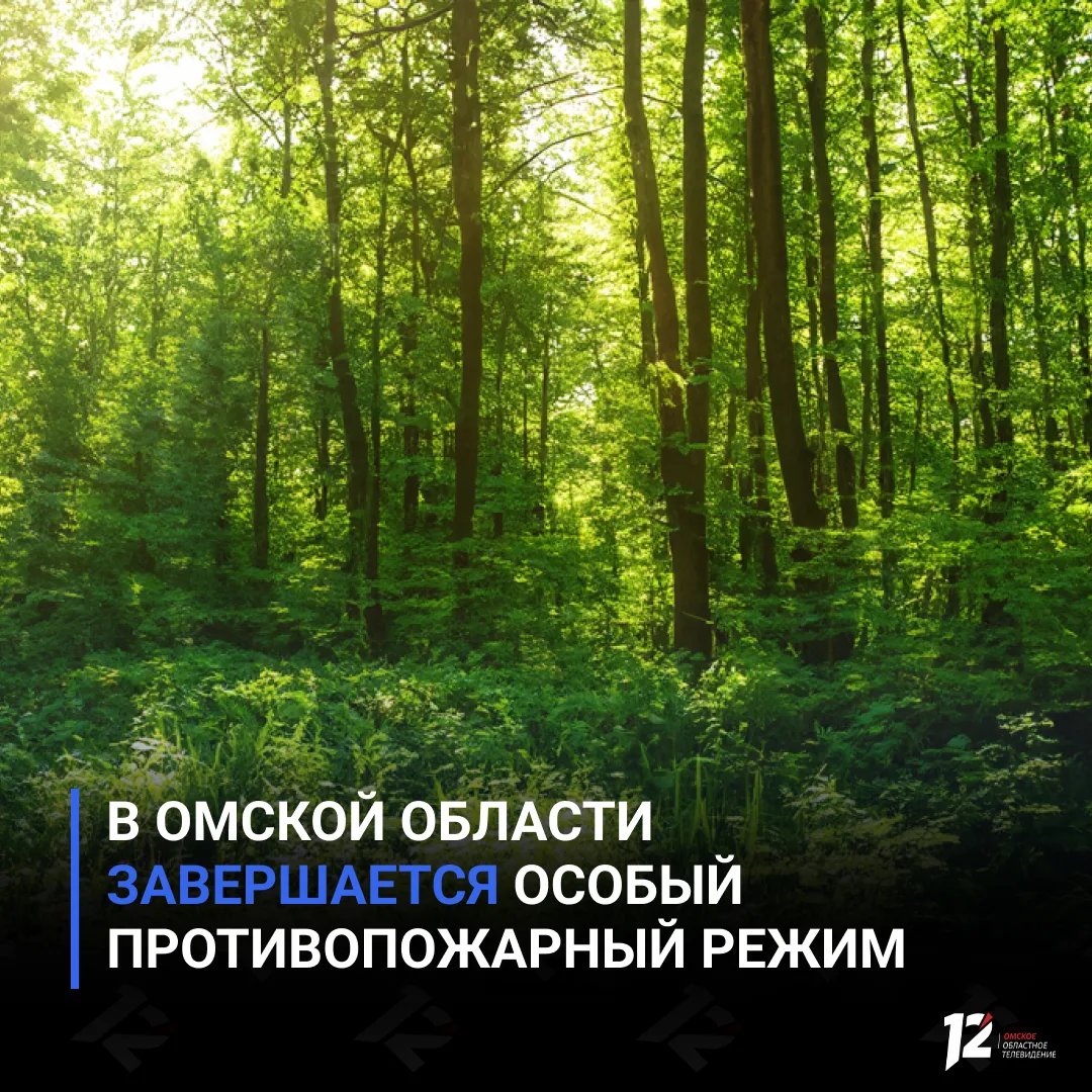 🌲 В Омской области завершается особый противопожарный режим

Сегодня последний день ограничения дей