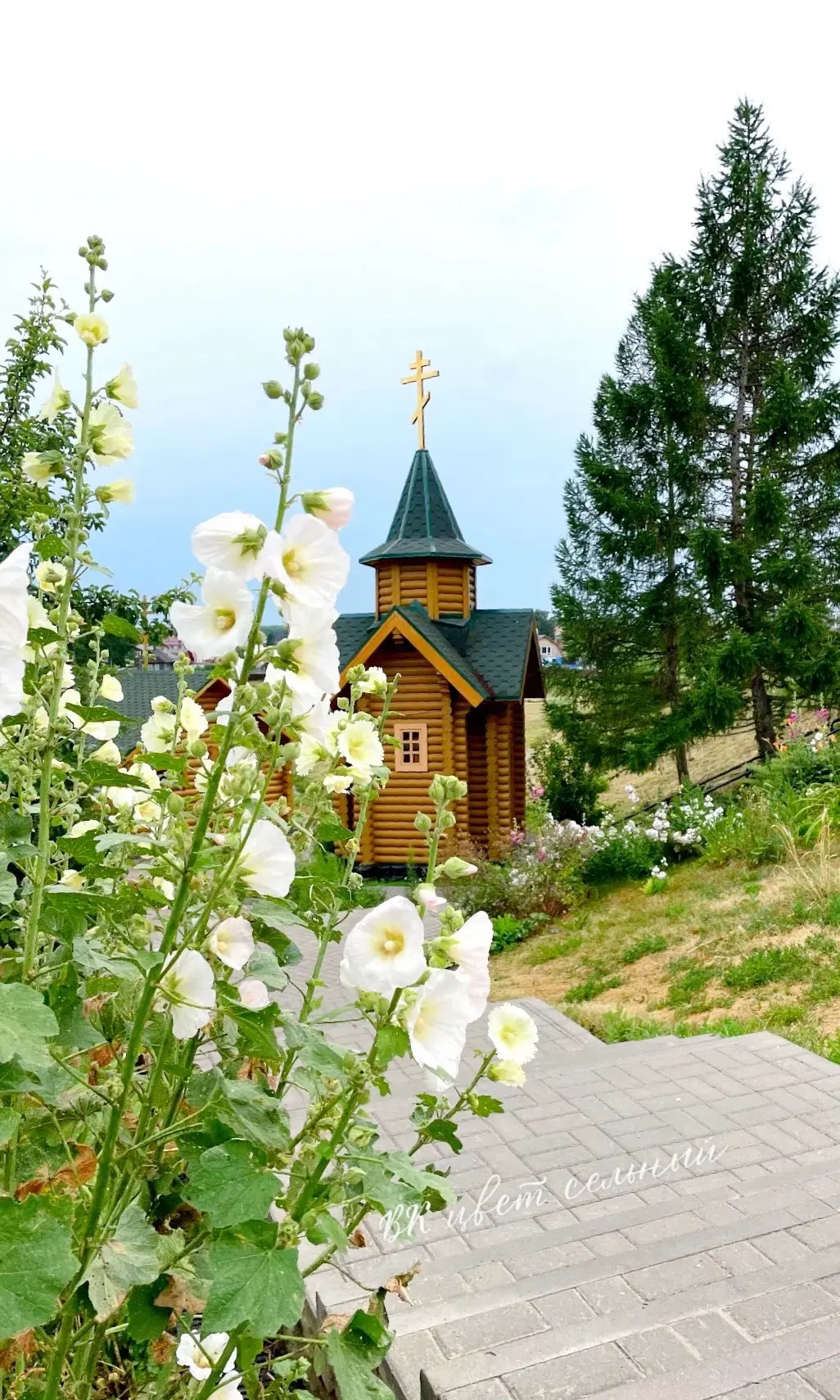 С днем памяти преподобного Серафима Саровского🙏🏻