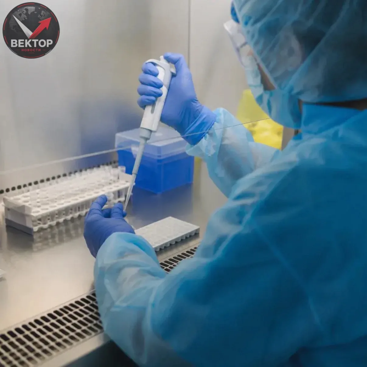 🦠 ГРИПП: НОВЫЕ ШТАММЫ В РОССИИ