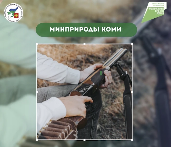 Охота на пернатую дичь открылась в Республике Коми