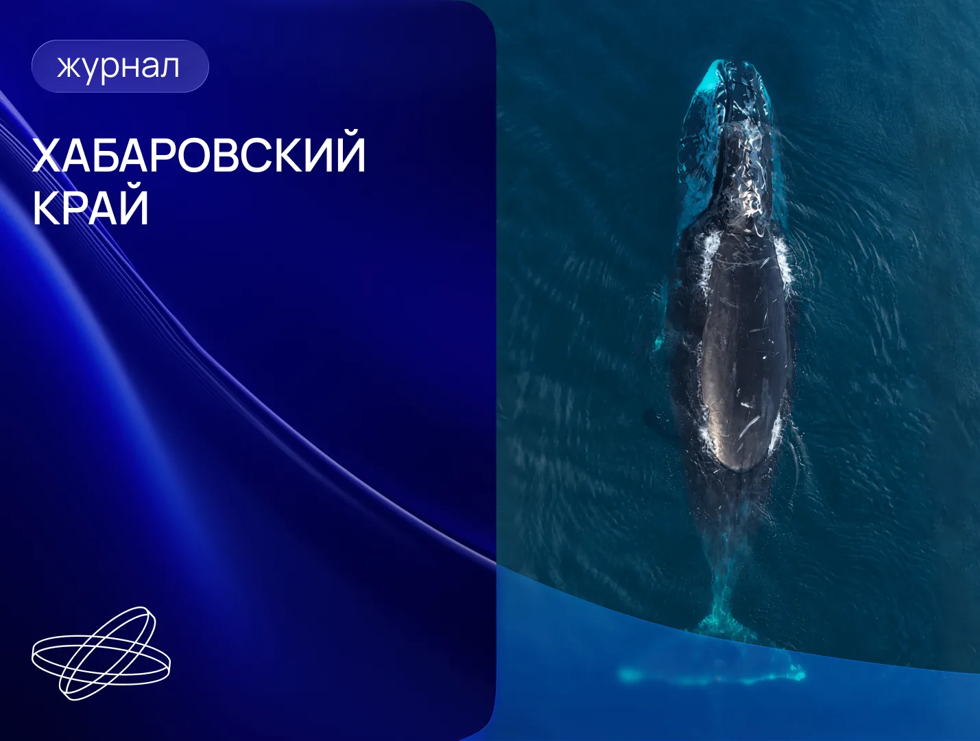 Изображение 1 к публикации «НАУКА.РФ»