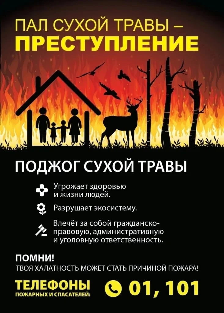 🧑‍🚒 Утверждение о пользе сжигания сухой травы весной — опасный миф❗