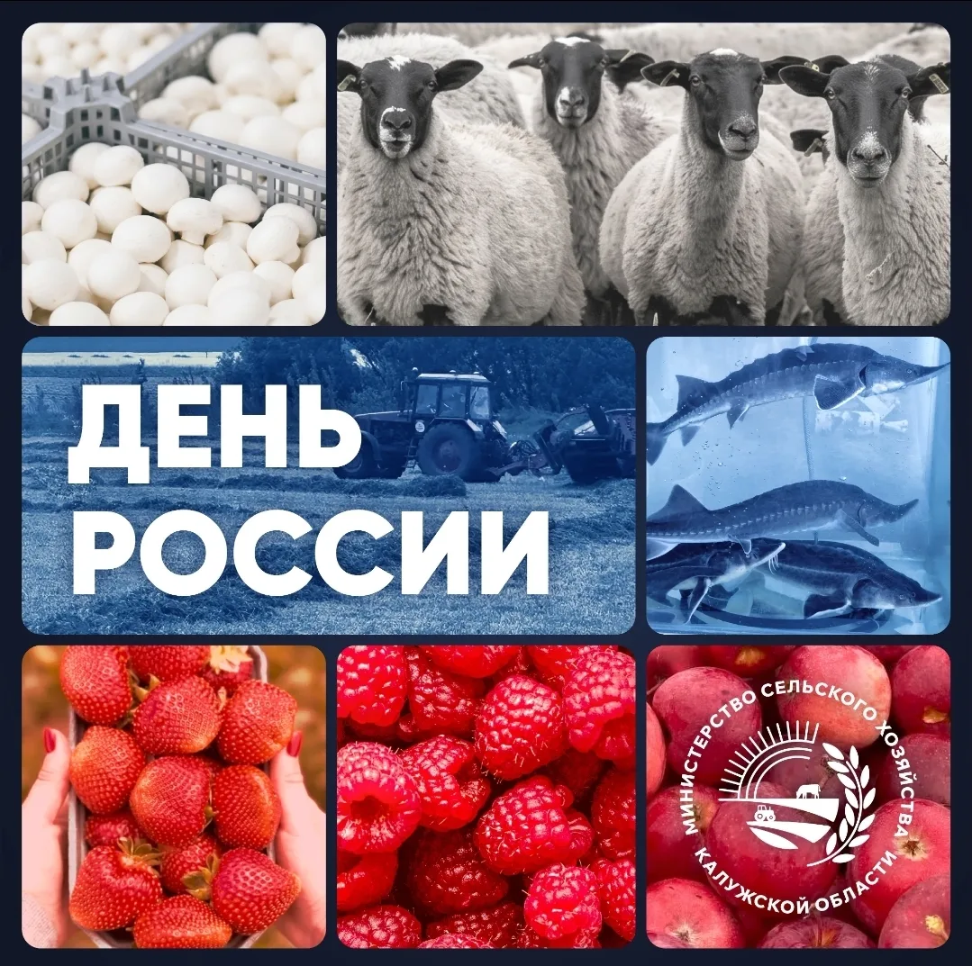 🇷🇺 С Днём России! Гордимся прошлым, создаём будущее.

Россия — наш общий дом. Для тех, кто работае