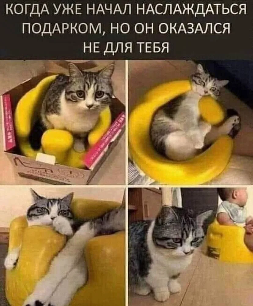 Наш канал ЛУЧИК РАДОСТИ ✨