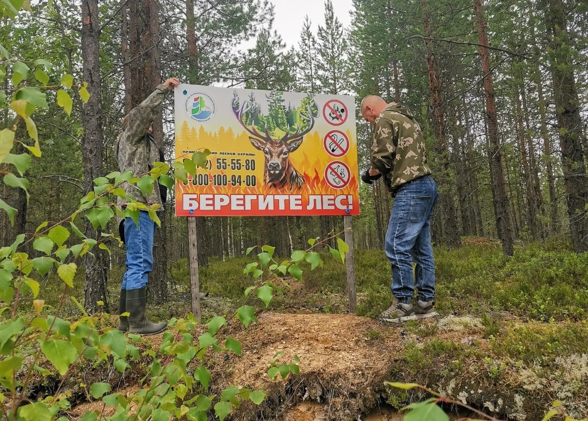 🔥⛔ Карелия на страже лесов: как мы защищаем природу от огня

Продолжается масштабная работа по прот