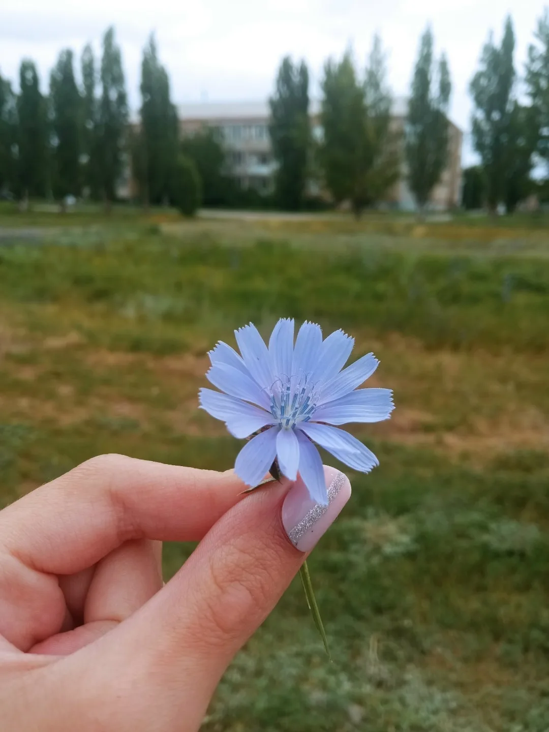 Присылайте Ваши фото в "Предложить пост"