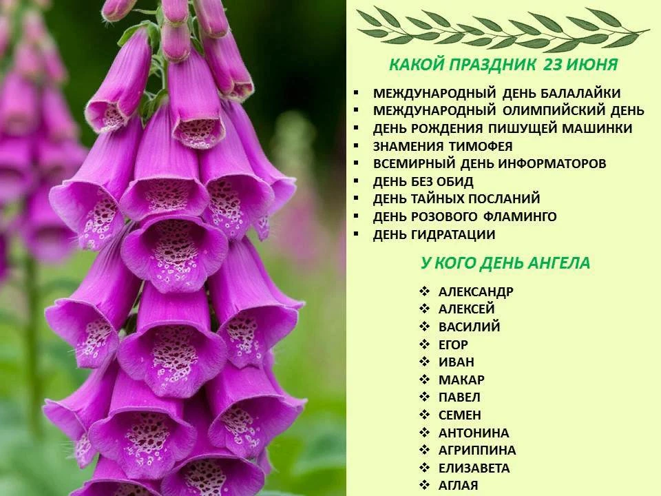 🔸️Сегодня 23 июня 2026 года, вторник