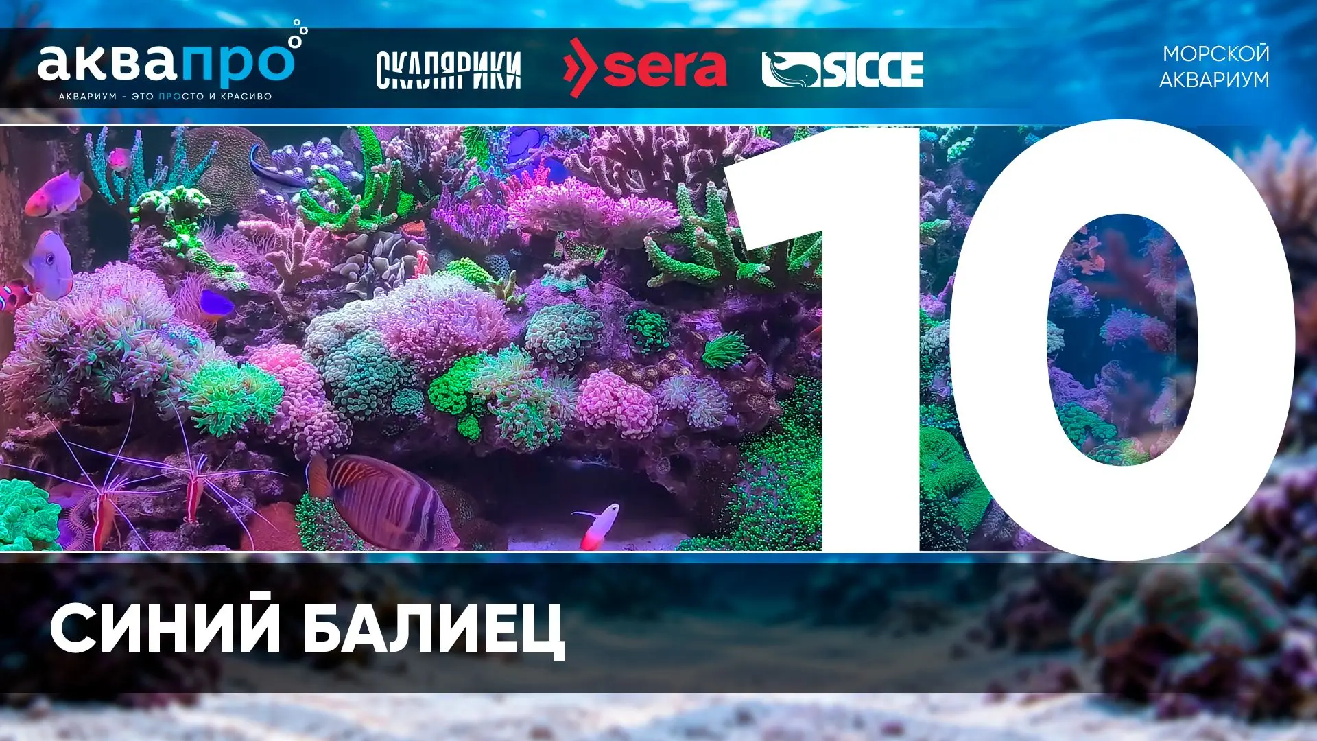 Фамилия Имя Отчество: Зозуля Алексей Витальевич