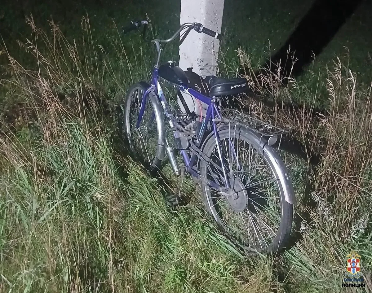 В Омской области после наезда велосипеда погибла женщина