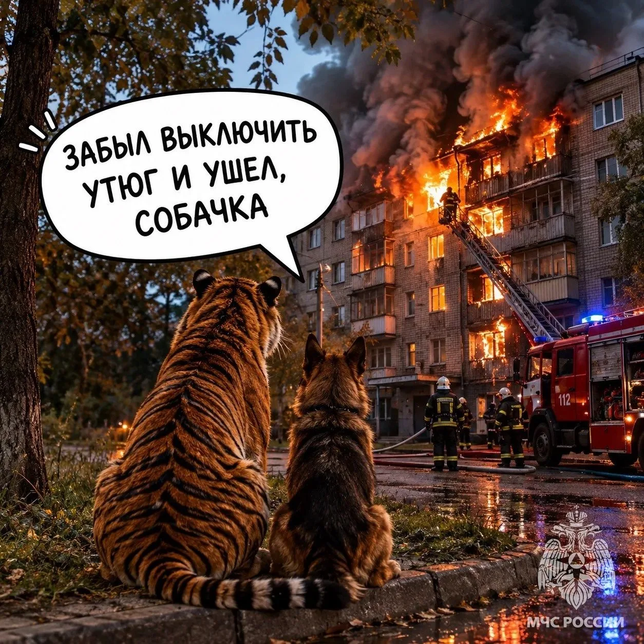 Вот такие дела, собачка.