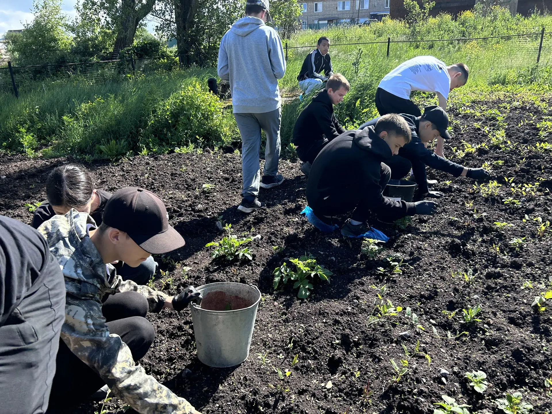💫И труд, и польза: как наш отряд спасал огород и учился первой помощи 
Очередной день смены получил