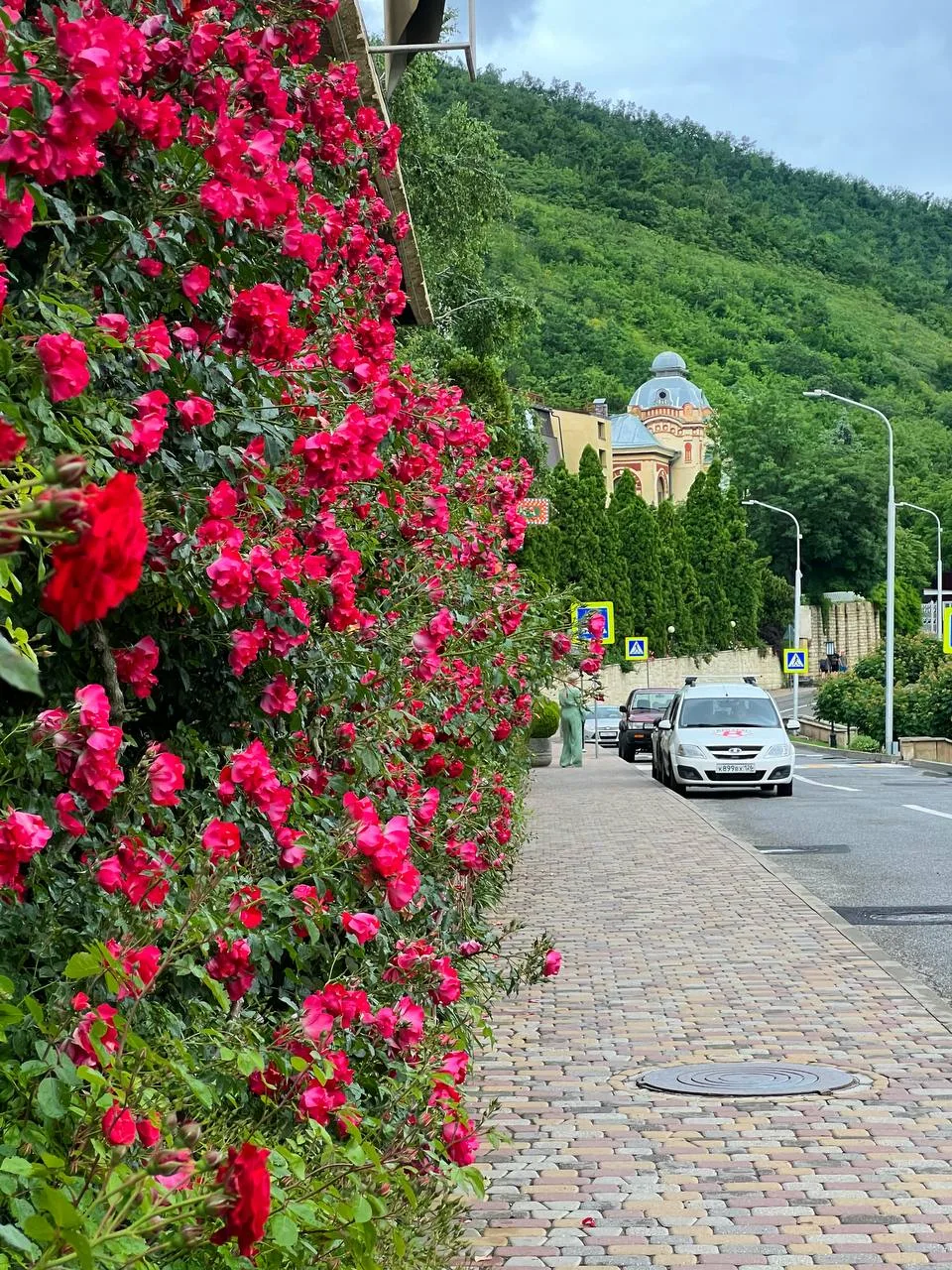 🌹 Пятигорск цветет и пахнет