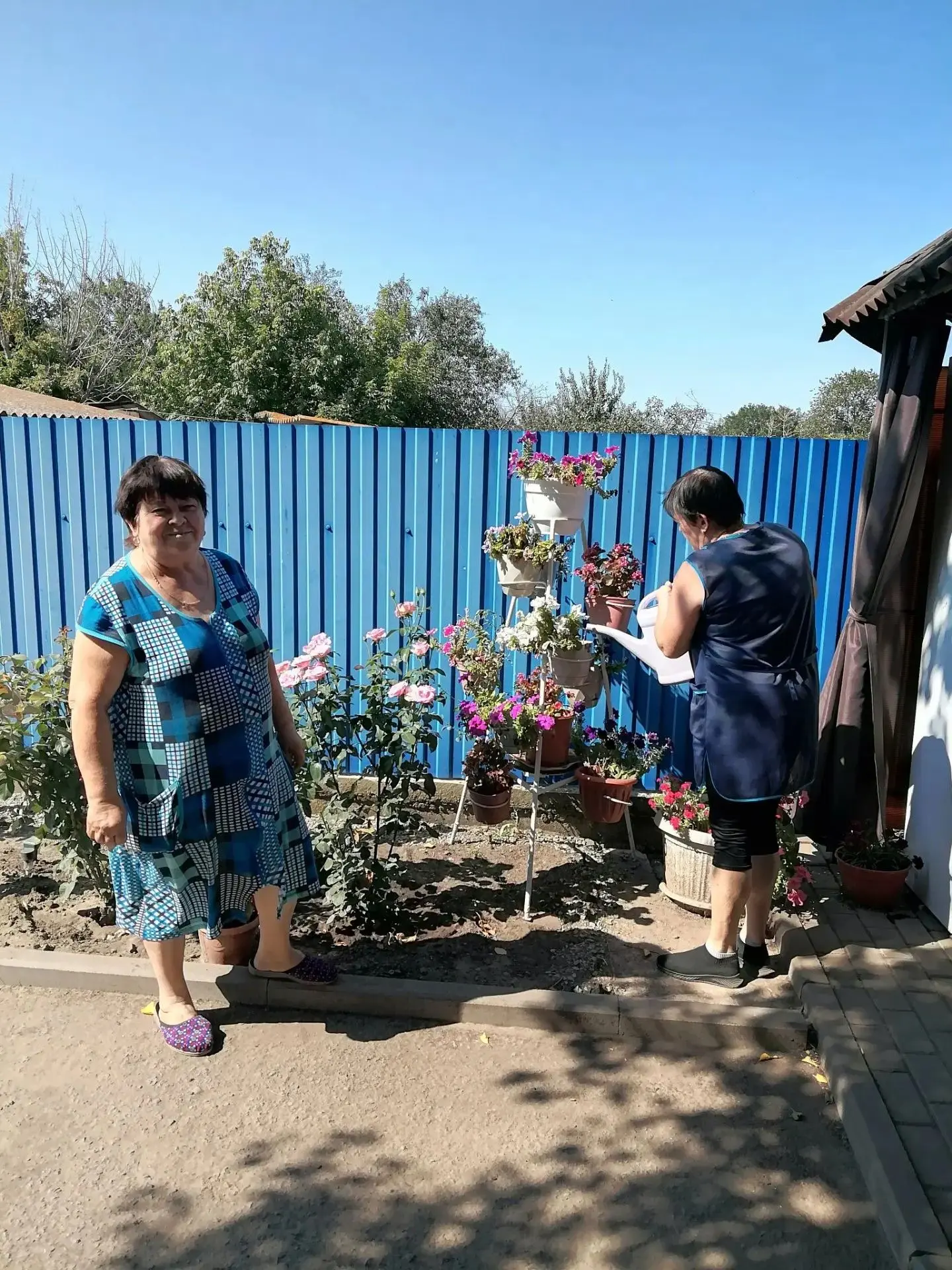 Социальная помощь на приусадебном участке.