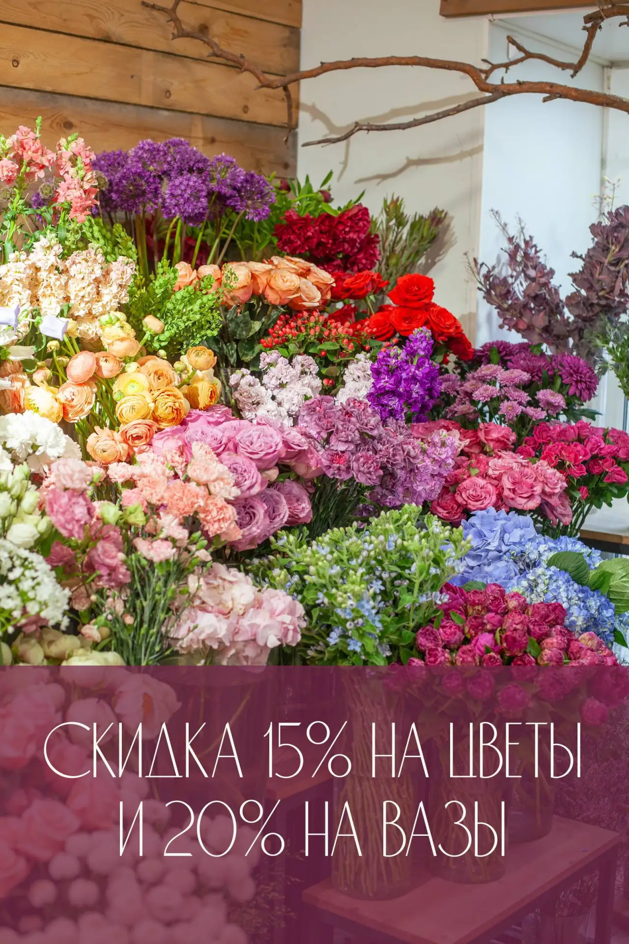 «ЧЕРНИЧНАЯ НЕДЕЛЯ»!💜 СКИДКА 15%💜 - на растения для вашей вазы!