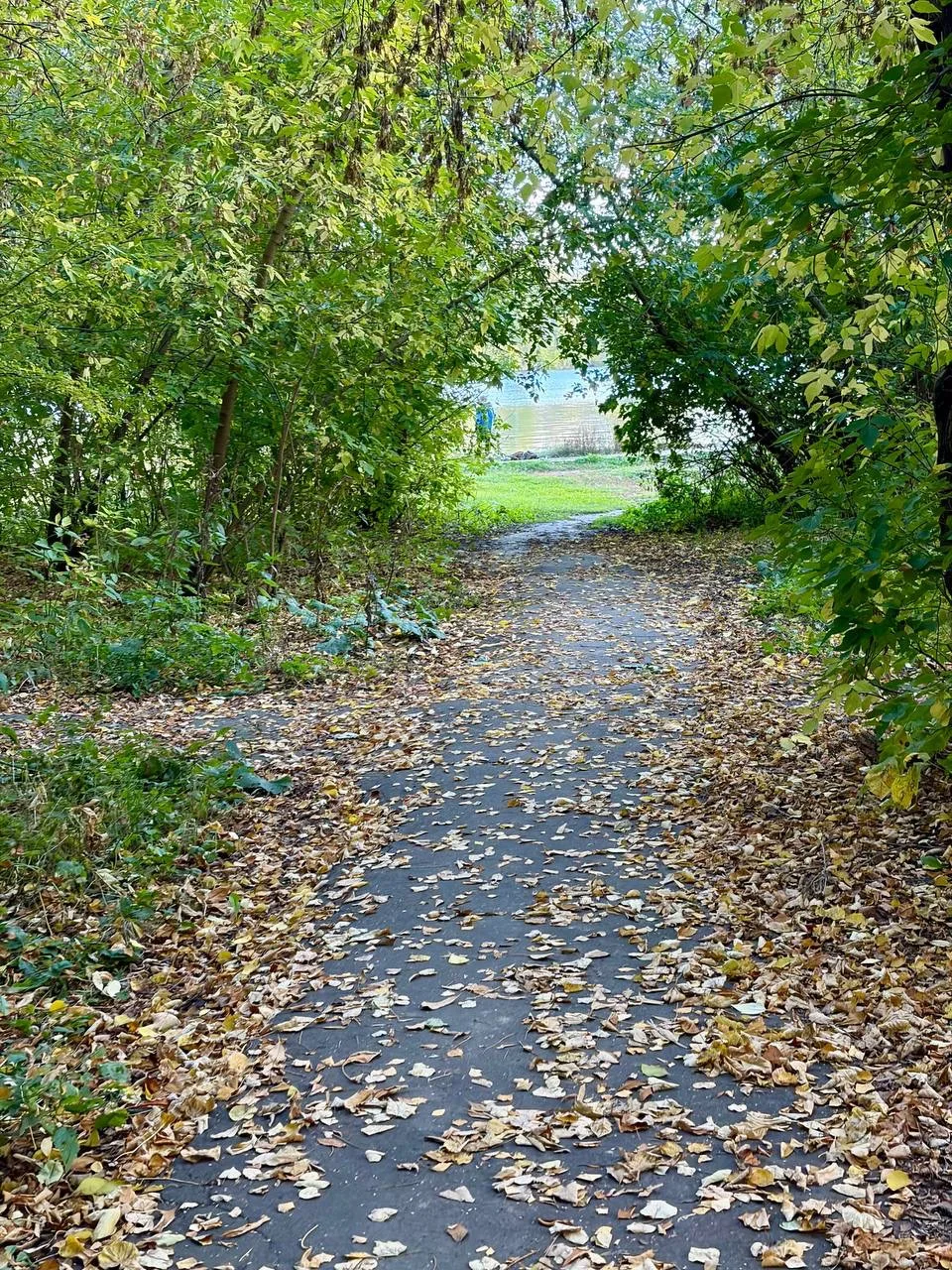 Хочу такую осень долго 🧡🧡🧡