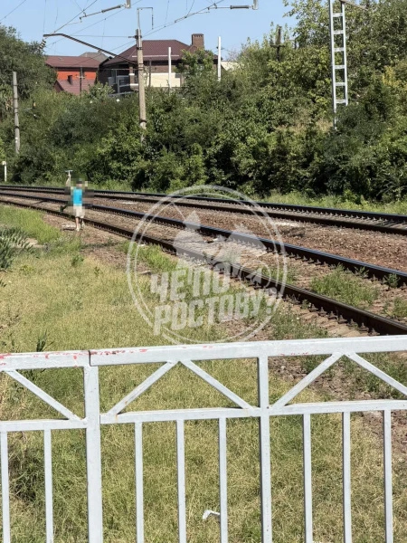 8-летний школьник в Ростове забросал камнями поезд Ейск — Москва и разбил стекло в ваго...