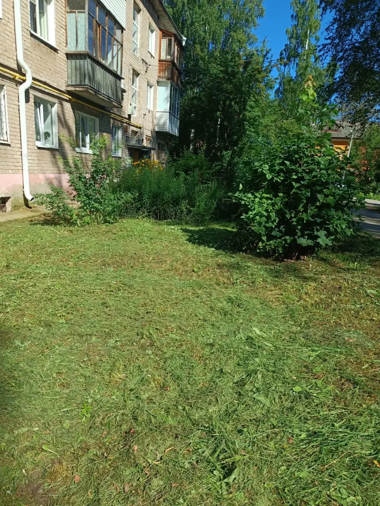 🌿 На прошлой неделе специалисты УК «ГЖС» провели покос травы на придомовых территориях...