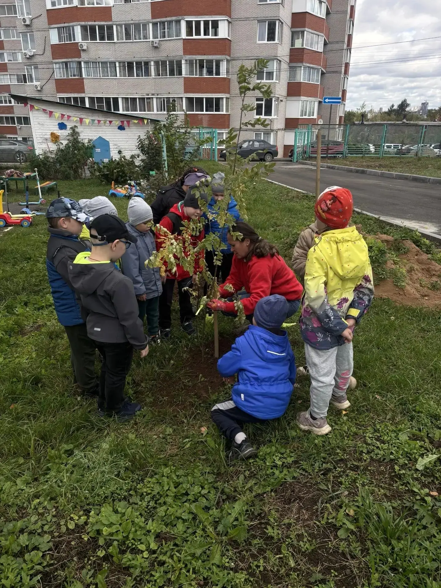 ✅А вы знали, что ижевчан раньше называли «рябинниками»? 🌳 Рябина — это настоящий симво...
