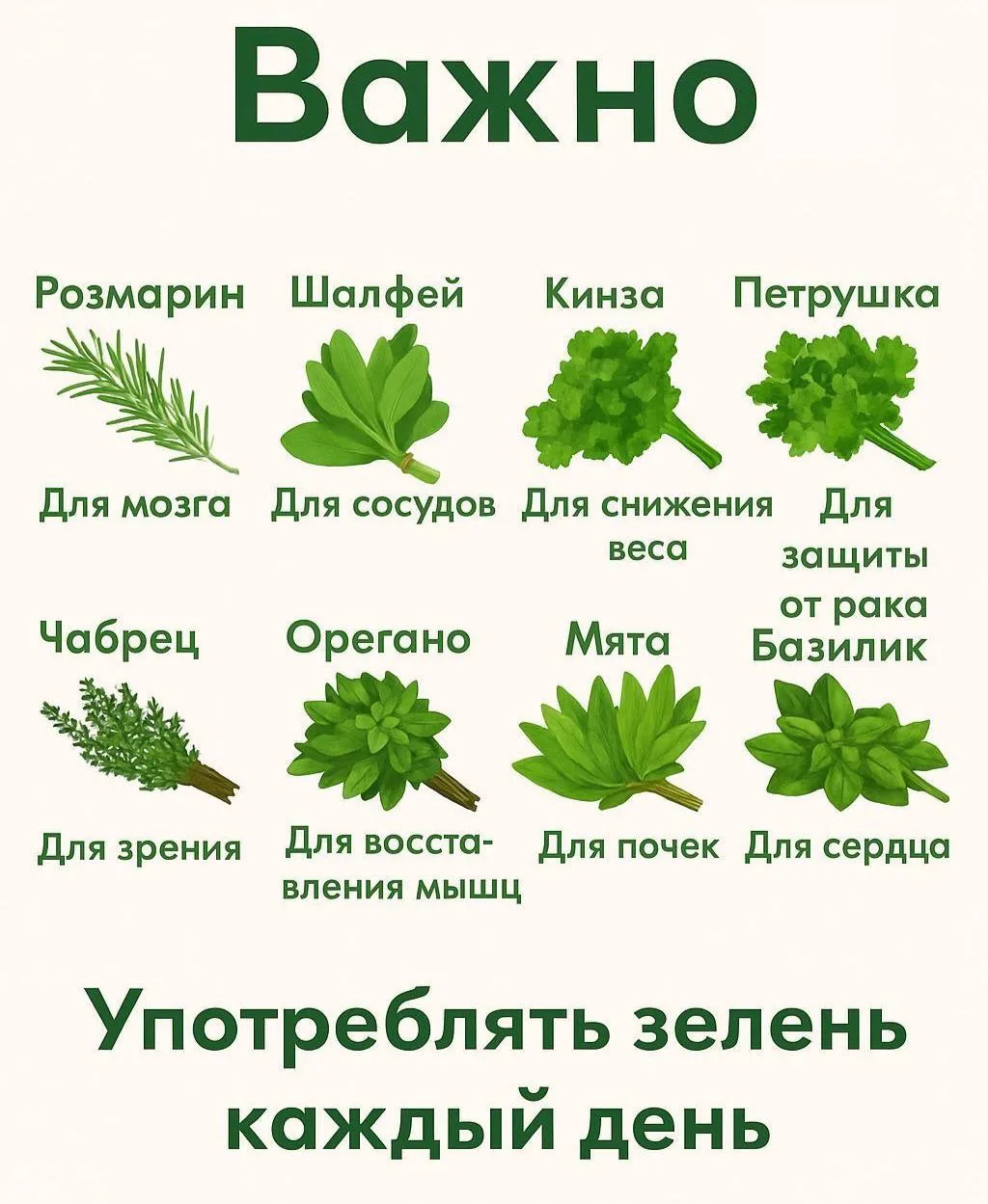🌿Польза зелени для всего организма!