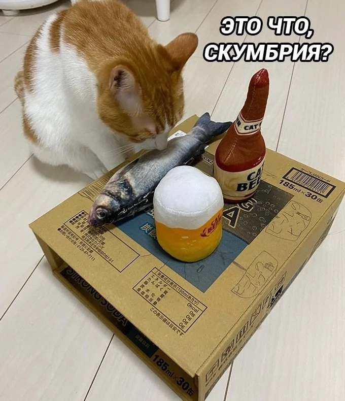 Понимаем тебя, котик.