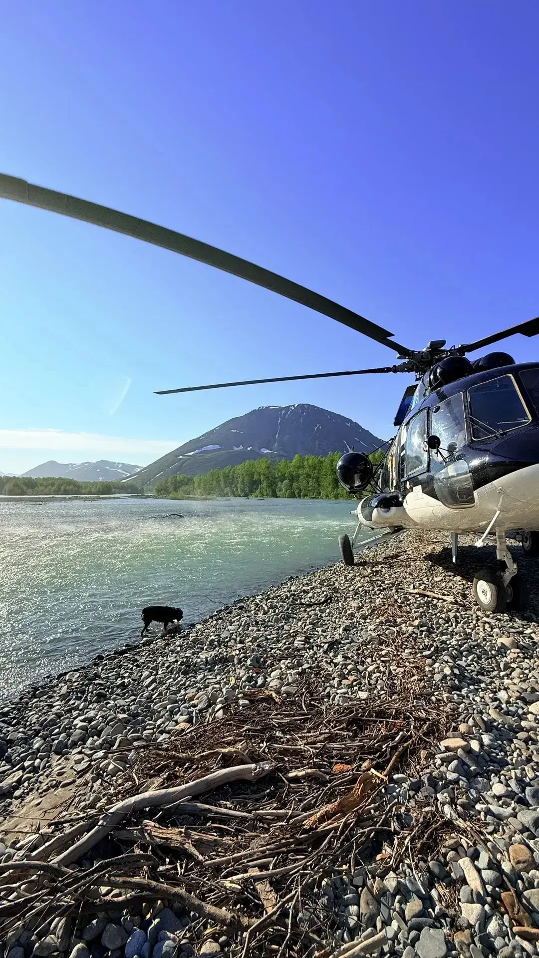 Все прекрасно на этом фото 😍
🚁🏔️ 🐕 🔥 
Такие фото как отдельный вид искусства 😉