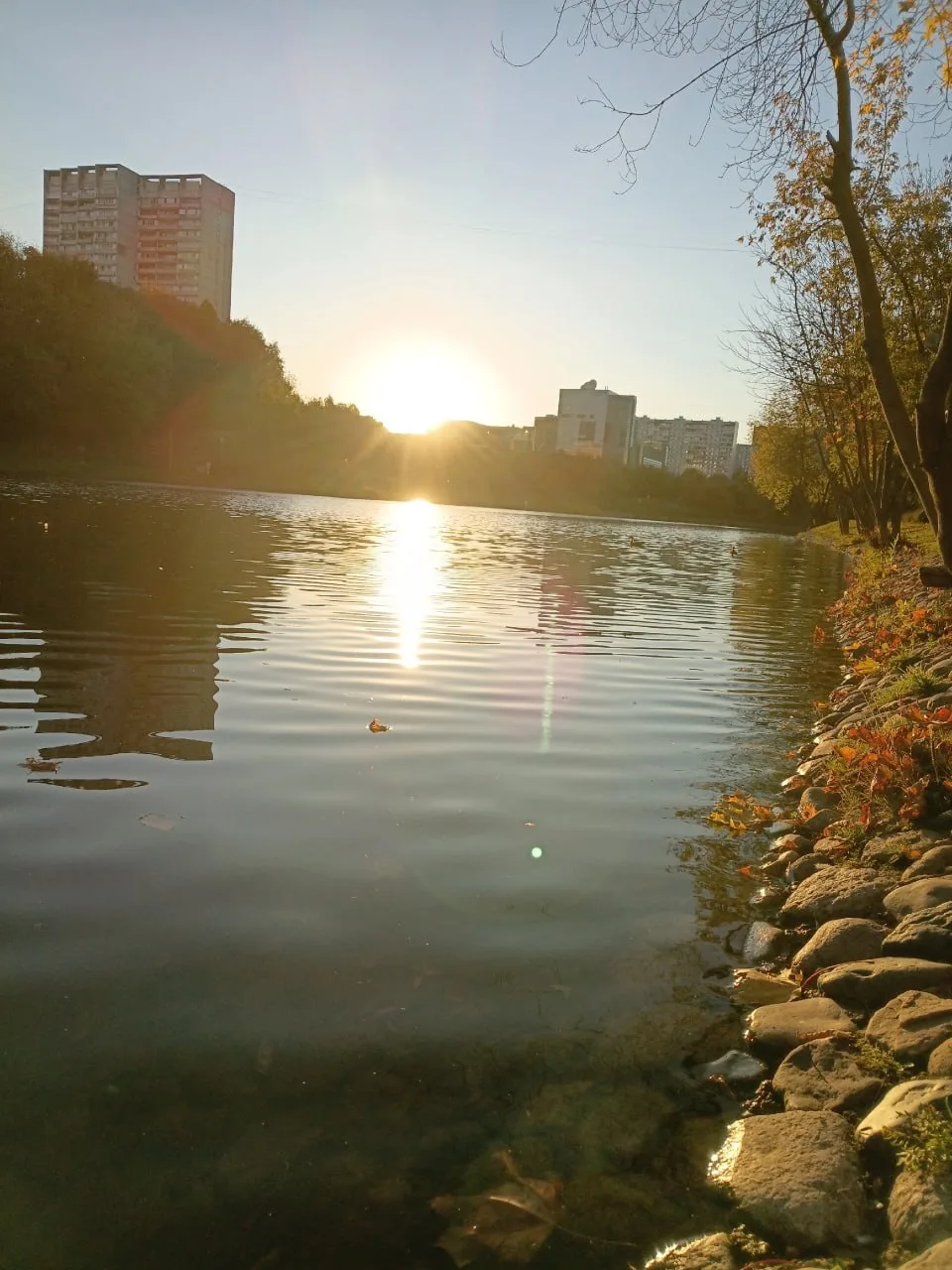 Как прекрасен наш район в это время года ❤