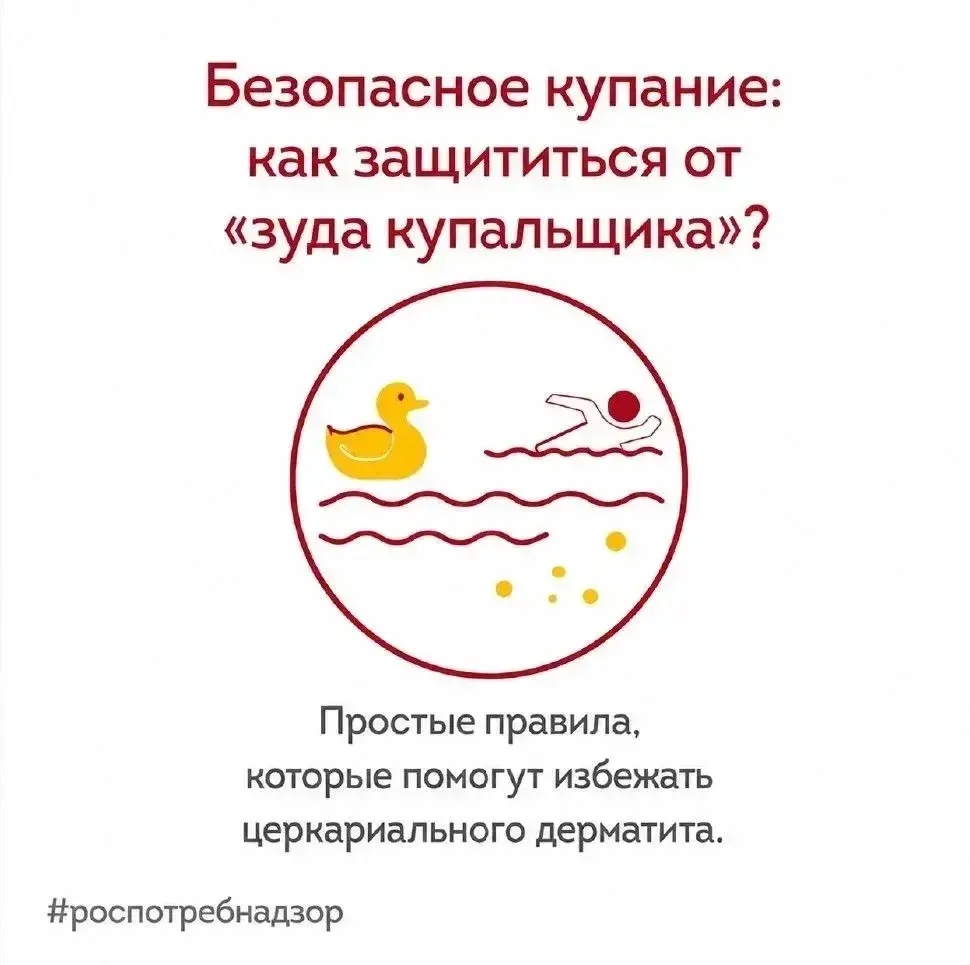 Роспотребнадзор предупреждает о рисках заражения церкариальным дерматитом (зуд купальщи...