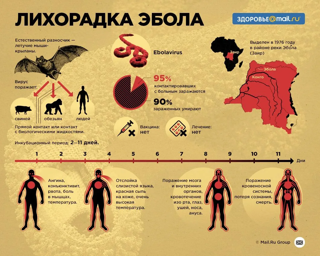 ЭБОЛА: ситуация на контроле.