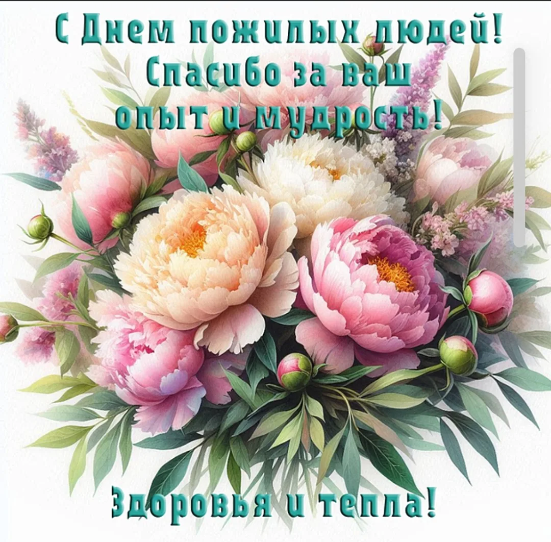 Поздравляем с Днём пожилого человека! 🌸Сегодня особенный день, чтобы поблагодарить тех...