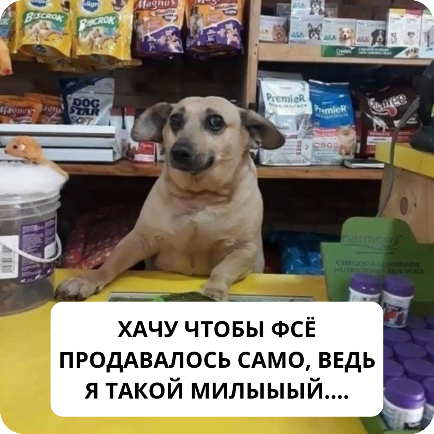 Хочешь, чтобы у тебя покупали с блога всё и сразу?  Чтоб человек зашёл, прочитал пост, прослезился, 