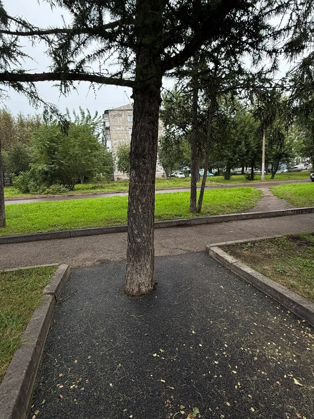 Красноярск улица Терешковой /Сквер Космонавтов