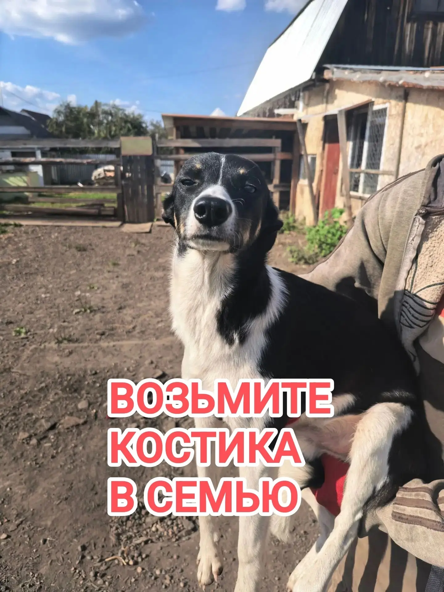 С ДОБРЫМ УТРОМ! 🕊️