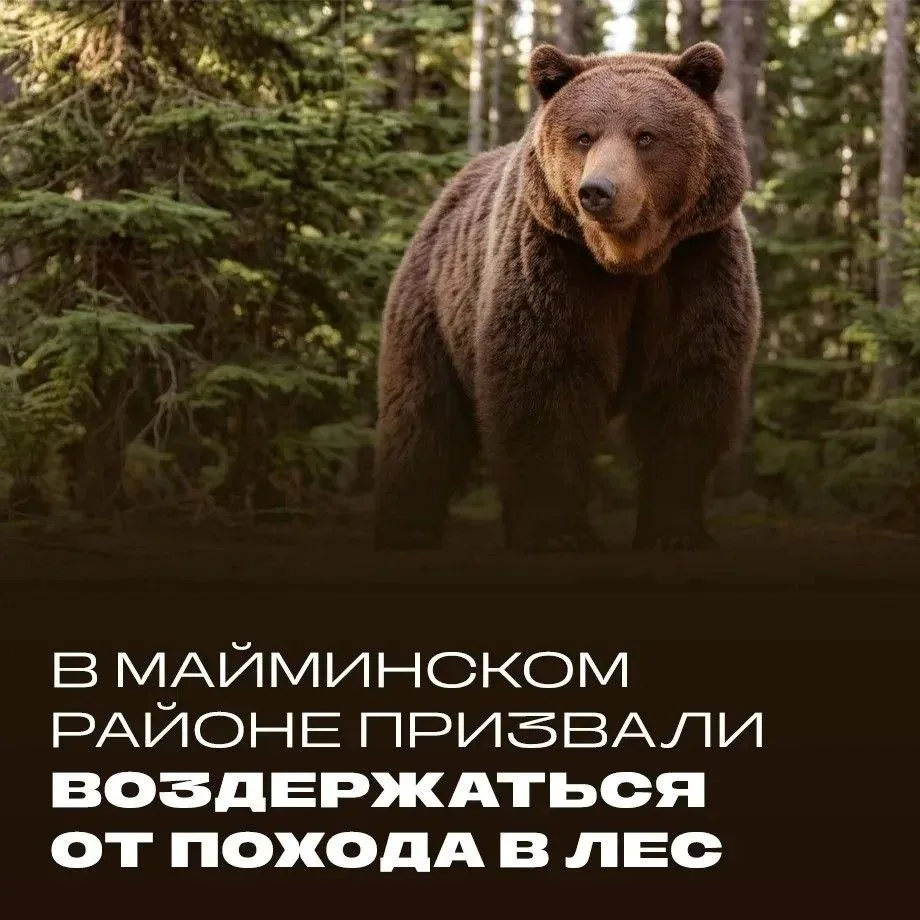 В связи с участившимися случаями выхода диких животных из лесных массивов к населенным ...