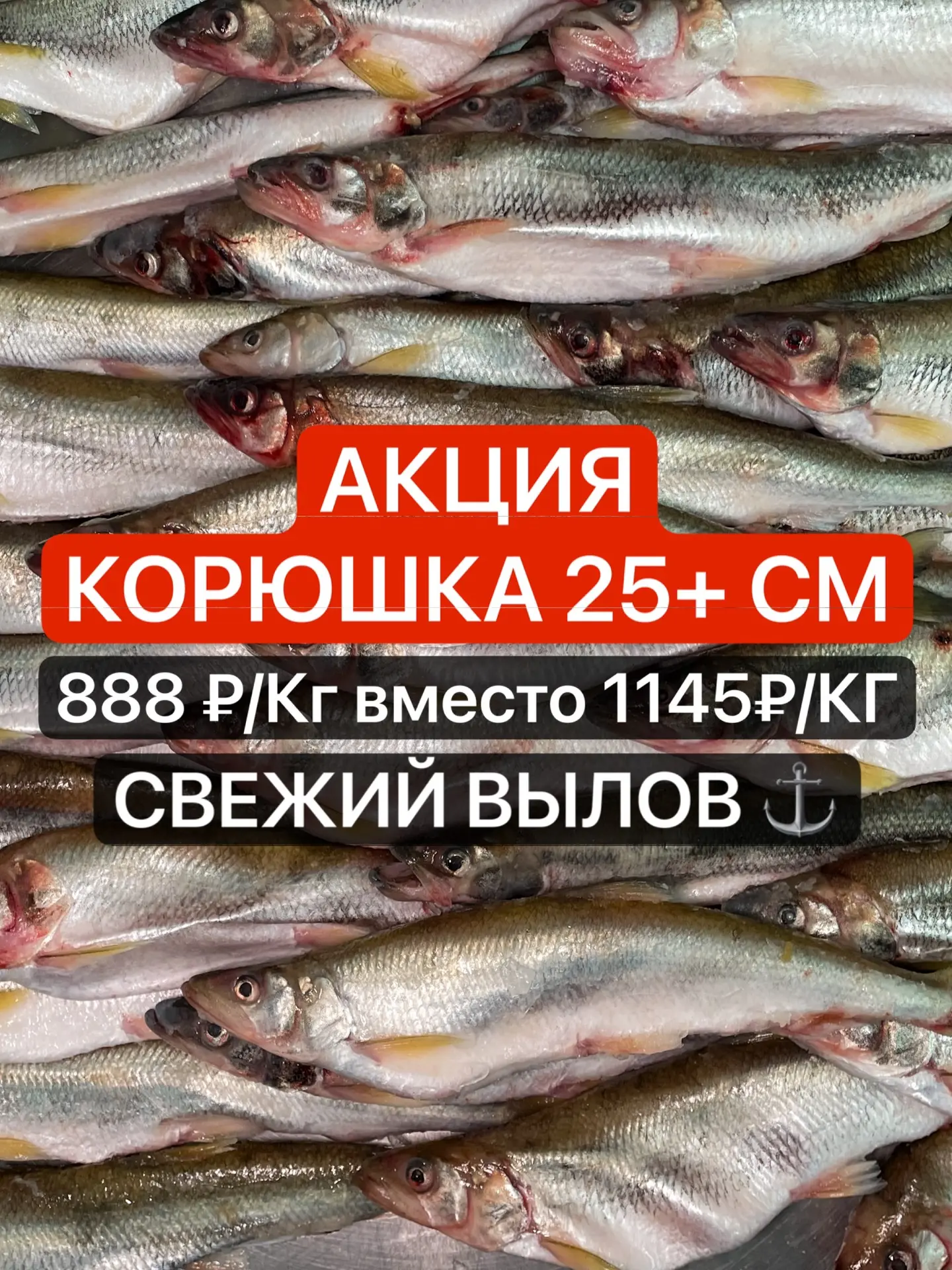 🚨🐟 ДАЛЬНЕВОСТОЧНАЯ КОРЮШКА 25+| АКЦИЯ 🐟🚨
🔥😍 Привезли крупную икряную дальневосточную корюшку 
