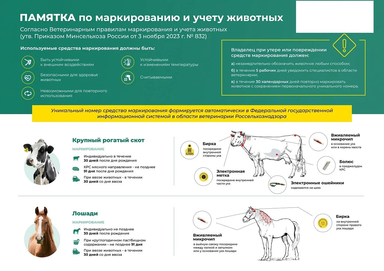 📢Владельцы ЛПХ: маркировка животных и птицы — что изменилось?