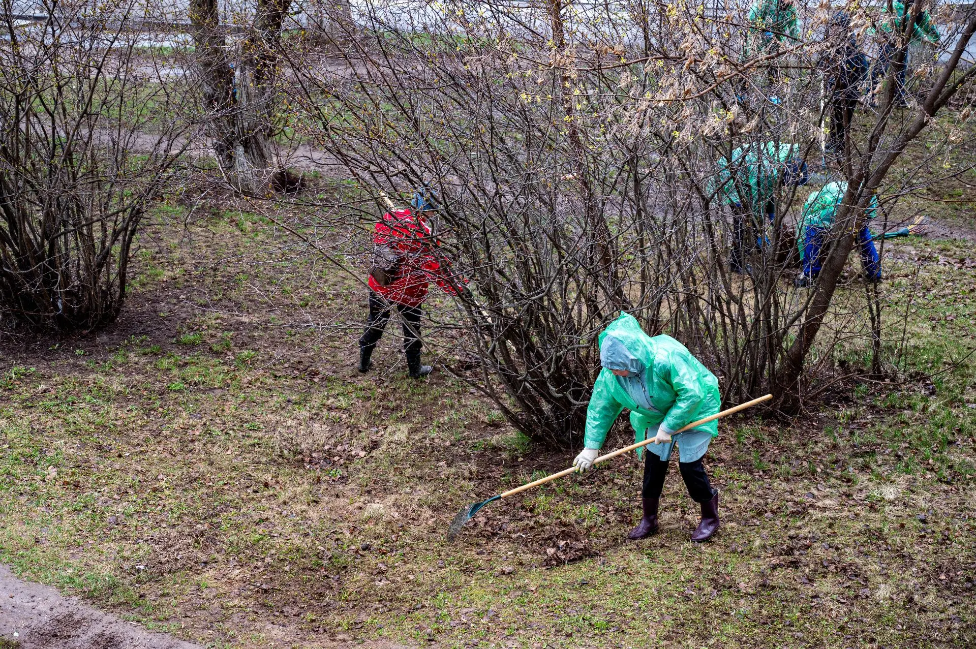 🌿 Весна — время перемен!