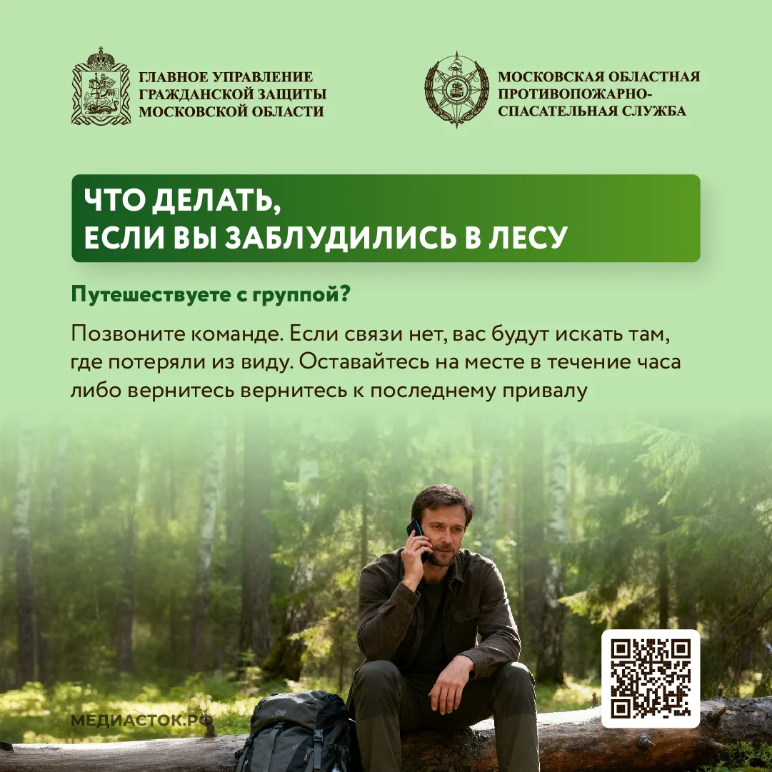 🌲Как подготовиться к походу в лес, что взять с собой, и как найти дорогу, если сбились с пути – чита