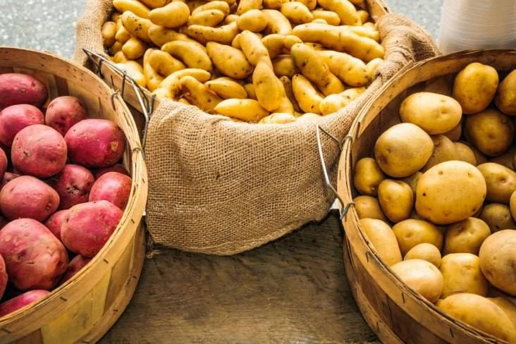 Какой картофель полезнее?