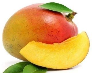Как вырастить манго из косточки❓