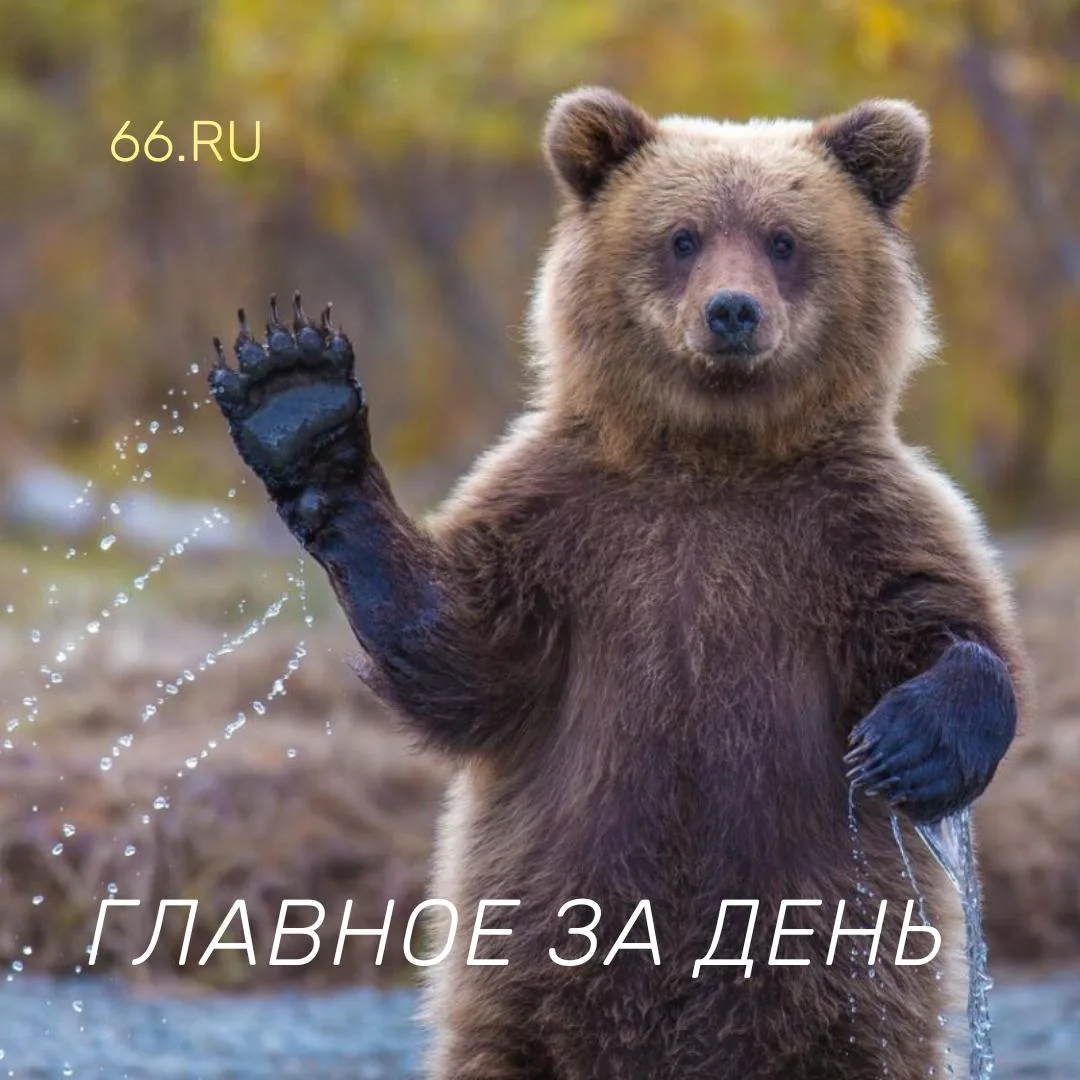 3 сентября. Если коротко