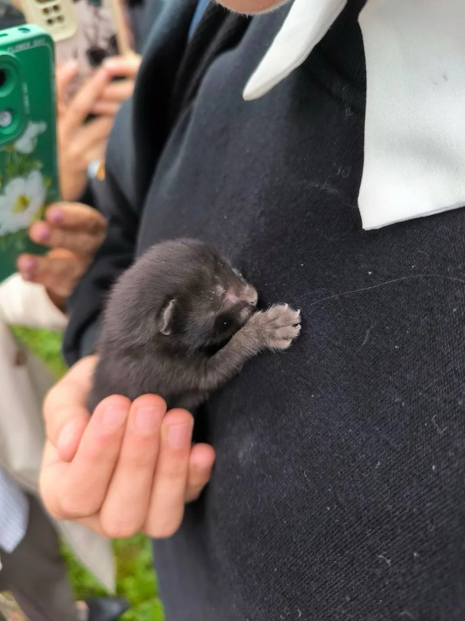 🐱 В Перми возле дома, куда попал беспилотник, спасли котенка.
