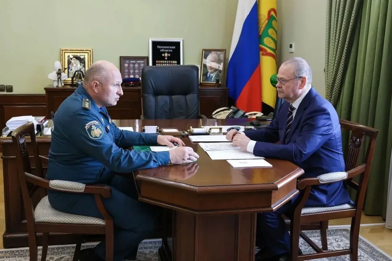 Мельниченко и Куренков обсудили работу регионального правительства и спасательной службы

Губернатор
